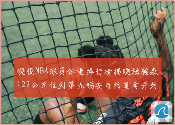 现役NBA球员体重排行榜揭晓杨瀚森122公斤位列第九锡安与约基奇并列第三