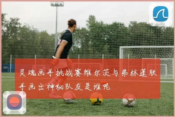 灵魂画手挑战赛维尔茨与弗林蓬联手画出神秘队友是谁呢
